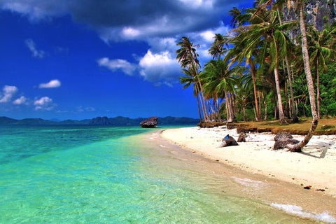 EL NIDO TOUR D - Cadlao Adventure Duration: 9:00 PM– 5:00 PM